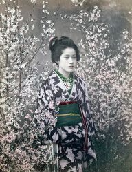 70512-0008 - Geisha in Kimono