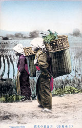 80107-0049 - Women Carrying Vegetables