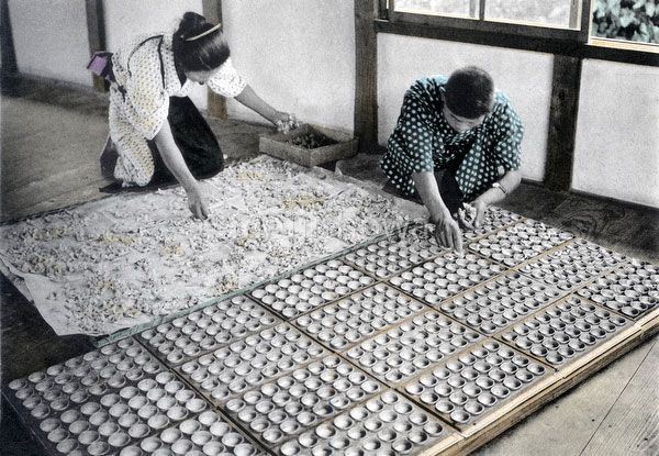 100914-0015 - Depositing Silkworms Eggs