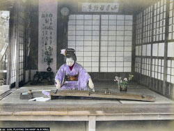 101105-0022 - Woman Playing Koto