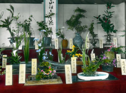 160201-0039 - Ikebana Display